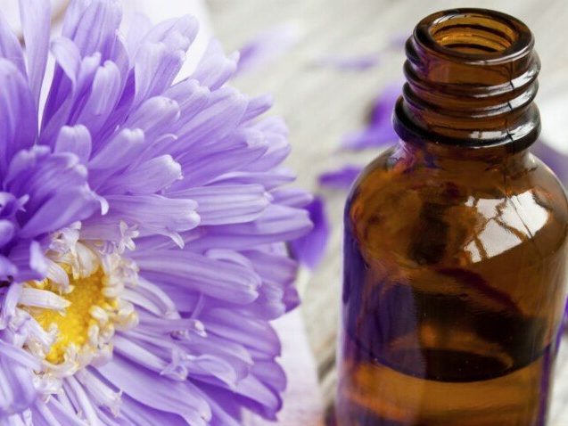 fleurs-de-bach-pour-mincir-nos-conseils-pour-bien-les-utiliser
