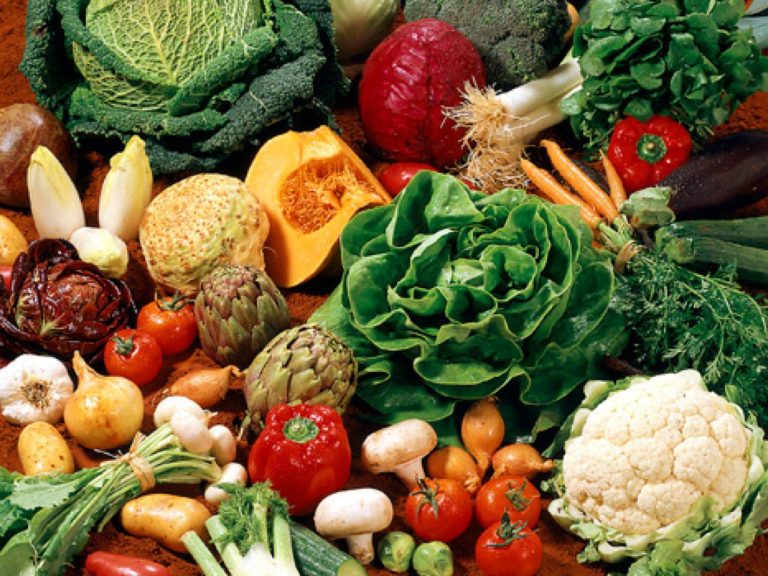 legumes02_127a94fa9f2f7bc5cde7946aeb5eda23